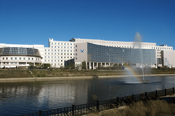 North-Eastern Federal University Institute of Medicine